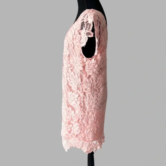 BB Dakota Rene Deep V Neck Lace Shift Dress - Picture 3 of 13